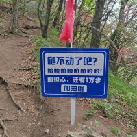 評論圖片 5