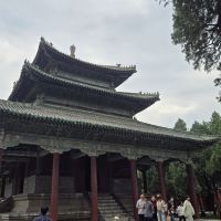 評論圖片 6