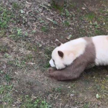評論圖片 2