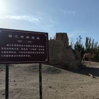 評論圖片 9