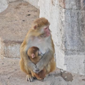 評論圖片 1