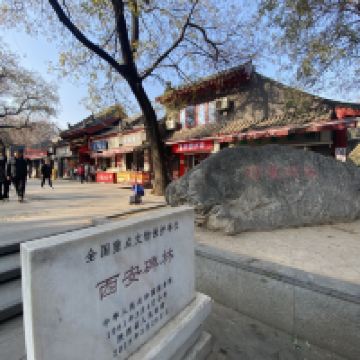 評論圖片 9