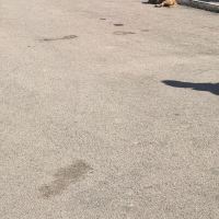 評論圖片 6