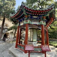評論圖片 3