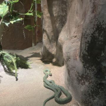評論圖片 4