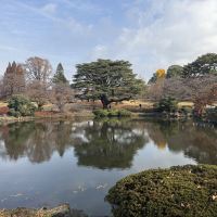 評論圖片 5