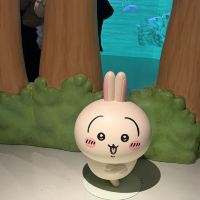評論圖片 5
