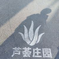 評論圖片 3