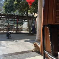 評論圖片 8