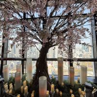 評論圖片 5