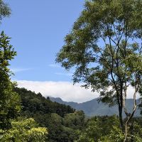 評論圖片 5