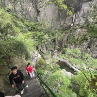 評論圖片 9