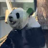 評論圖片 7