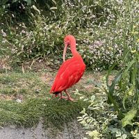 評論圖片 1