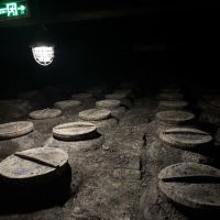 評論圖片 7