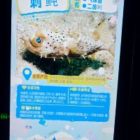評論圖片 6
