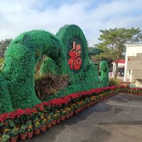 評論圖片 7