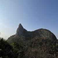 評論圖片 1