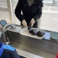 評論圖片 4