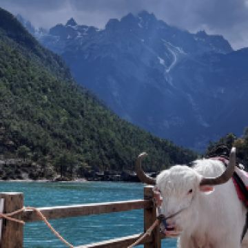 評論圖片 4