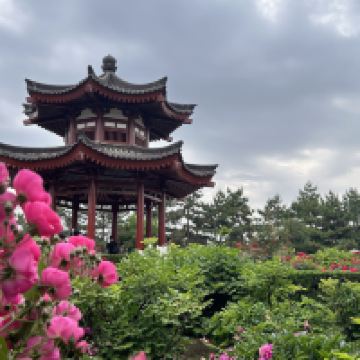 評論圖片 1