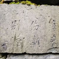 評論圖片 8