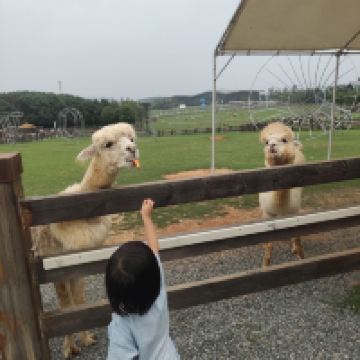 評論圖片 1
