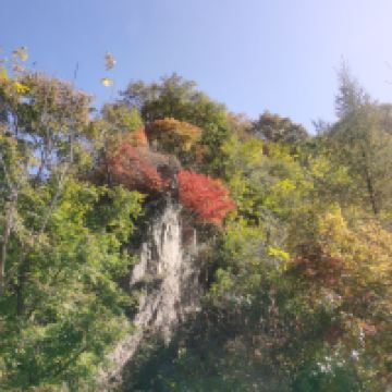 評論圖片 6