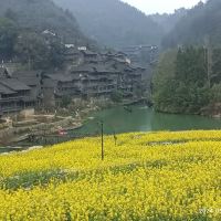 評論圖片 9
