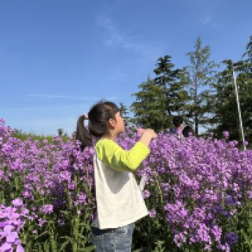 評論圖片 5