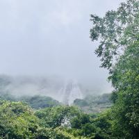 評論圖片 5