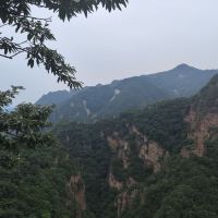 評論圖片 5