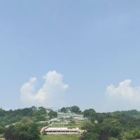 評論圖片 2