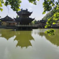 評論圖片 5