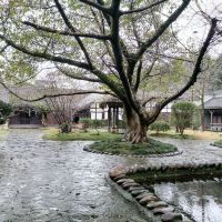 評論圖片 1
