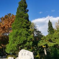 評論圖片 4