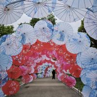 評論圖片 8