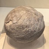評論圖片 3