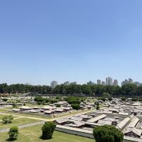 評論圖片 8