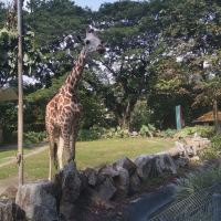 評論圖片 3