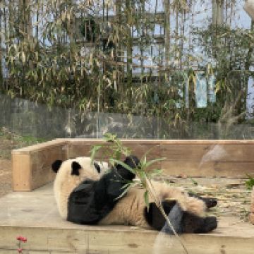 評論圖片 2