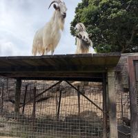 評論圖片 7