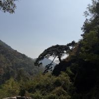 評論圖片 5