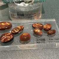 評論圖片 7