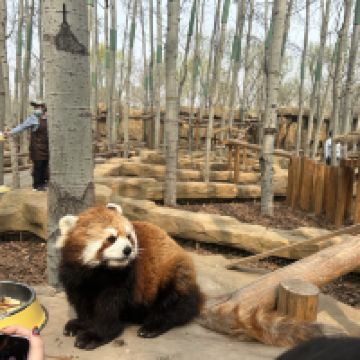 評論圖片 4