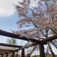 評論圖片 6