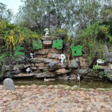 評論圖片 2