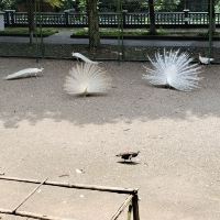 評論圖片 6