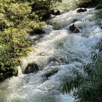 評論圖片 4