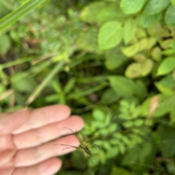 評論圖片 6